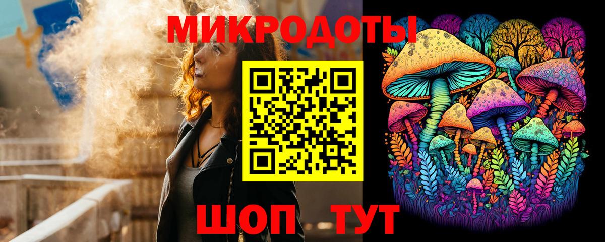 Галлюциногенные грибы Psilocybine cubensis Бахчисарай