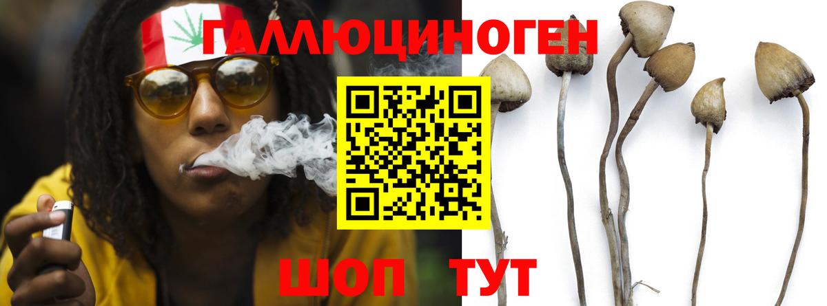 Галлюциногенные грибы MAGIC MUSHROOMS  Вход с VPN  Бахчисарай 